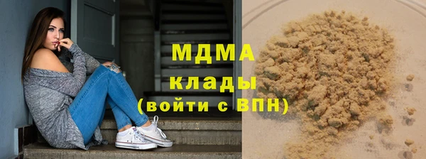 прущие грибы Бронницы