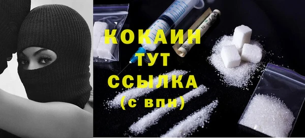 прущие грибы Бронницы