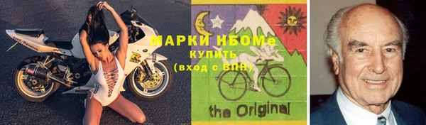 прущие грибы Бронницы