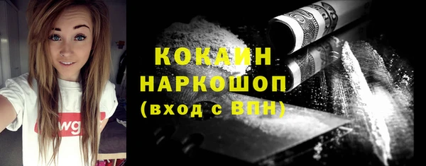 индика Бугульма