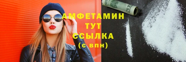 индика Бугульма