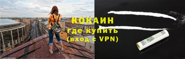 прущие грибы Бронницы