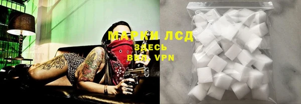 прущие грибы Бронницы