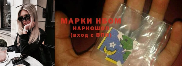 индика Бугульма