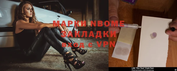 прущие грибы Бронницы