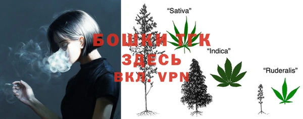 прущие грибы Бронницы