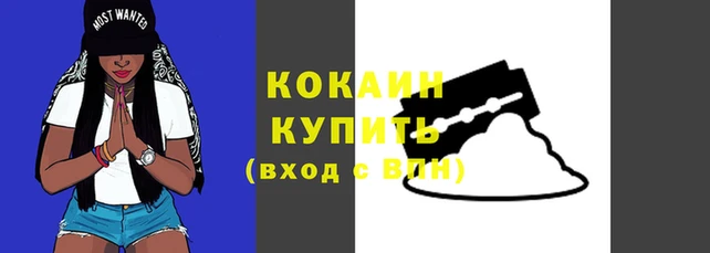 индика Бугульма