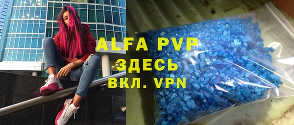 прущие грибы Бронницы