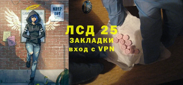 прущие грибы Бронницы