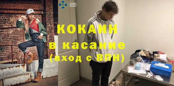 прущие грибы Бронницы