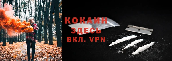 соль курить ск Бородино