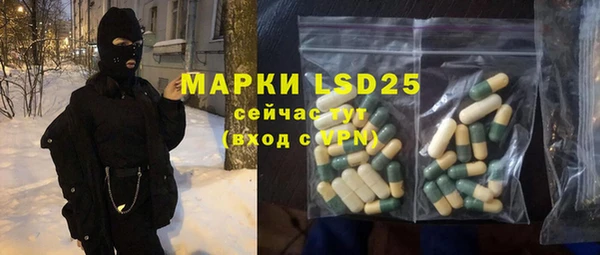 индика Бугульма